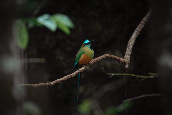 Can a Solar Panel Roof Integration Extend the Range of an Electric VW Golf?