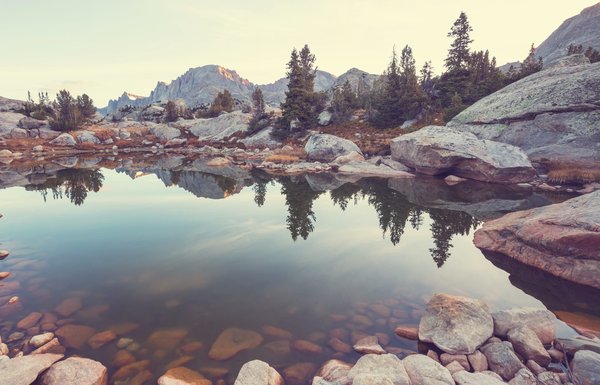 How to Design an Under-Bed Storage Solution for a Studio Apartment?